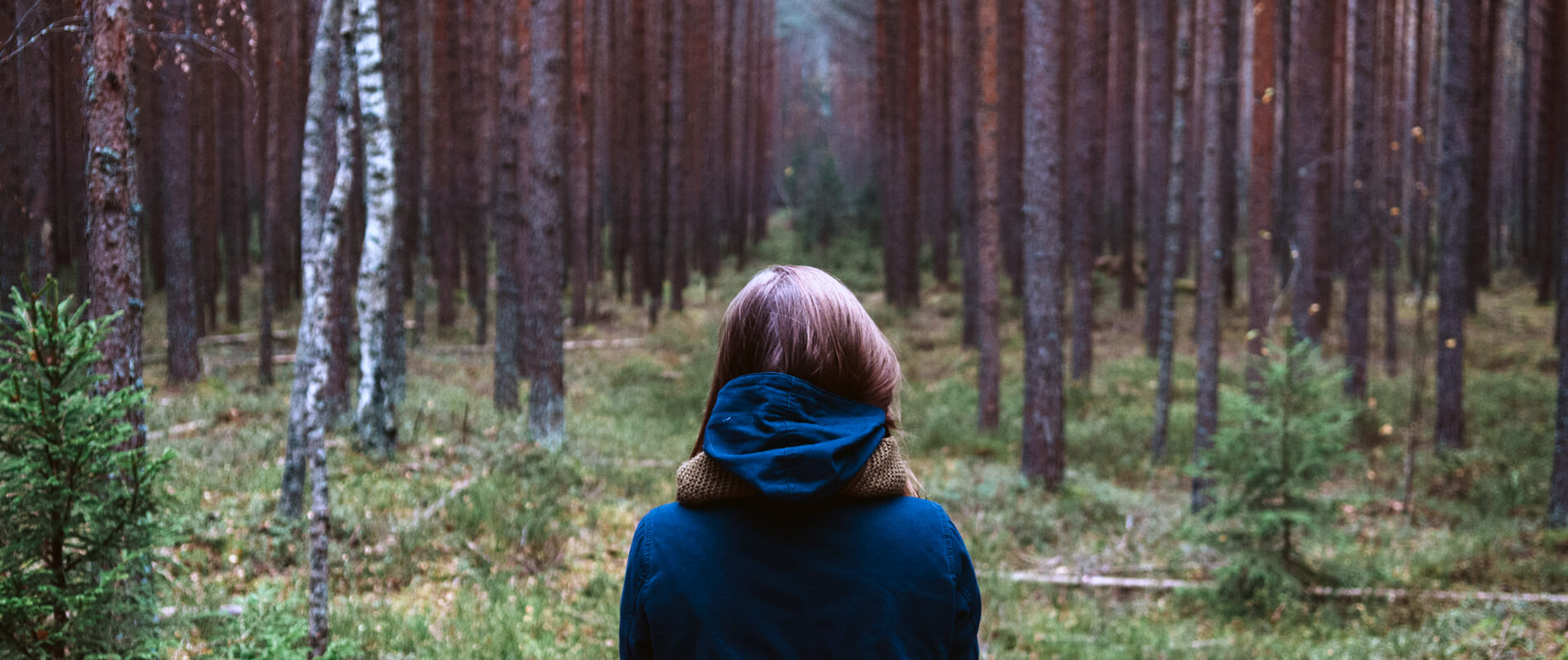 studio psicologia cura depressione Bergamo
